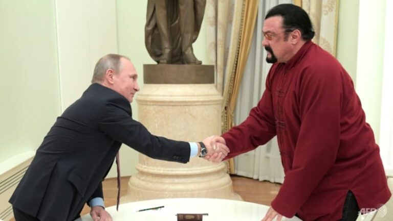 Putin gives US actor Steven Seagal top state award for ‘humanitarian work’