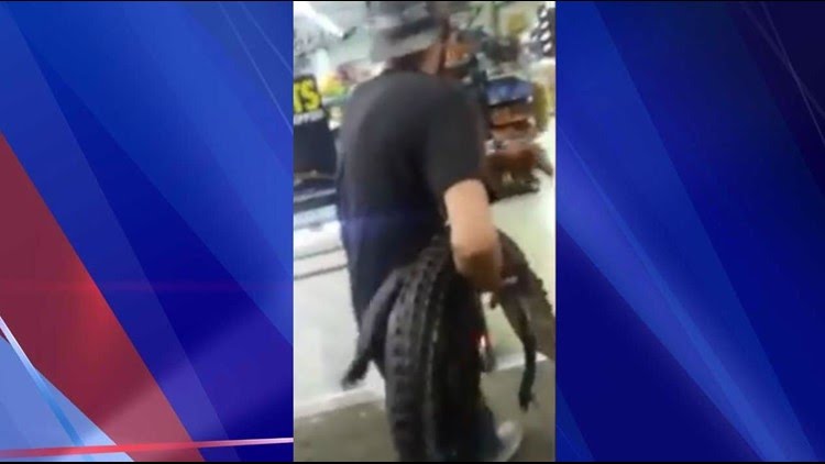 August 1: Florida Man Visits Beer Store With Alligator In Hand